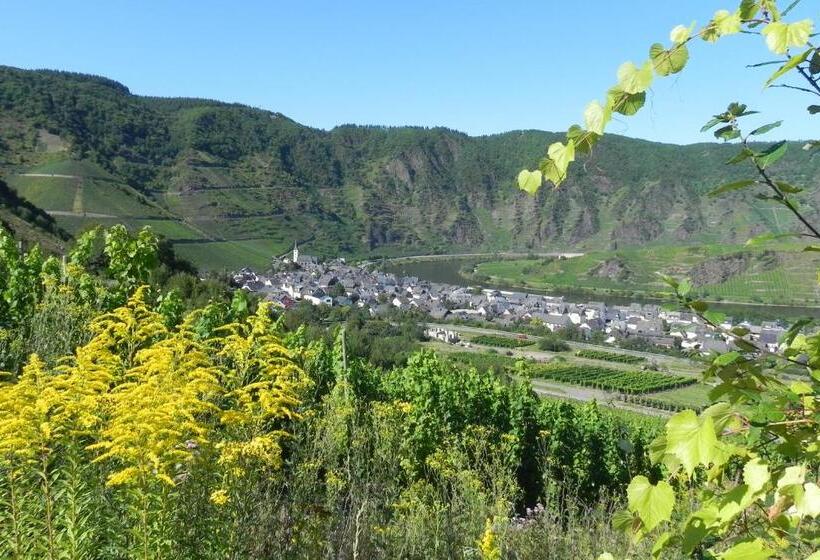 Ferienhaus Erich Bremm Mit Moselblick