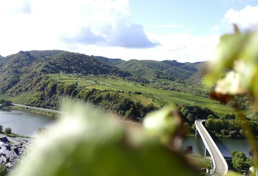 Ferienhaus Erich Bremm Mit Moselblick