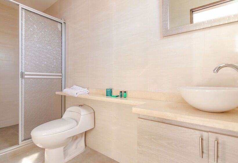 Отель Ayenda Elyamar V