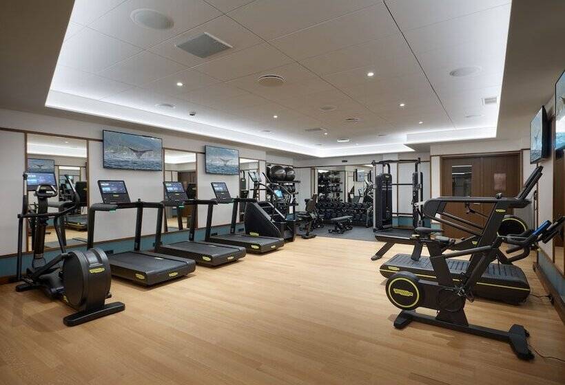 Iceland Parliament Hotel, Curio Collection By Hilton