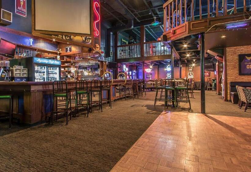 فندق Quality Inn Morgan City