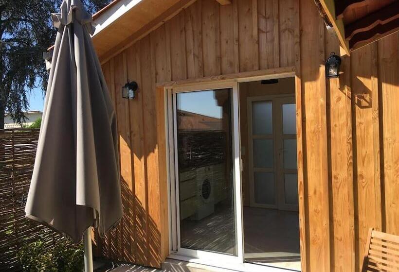 Le Patio Du Bourg   Studio Entre Lac Et Océan