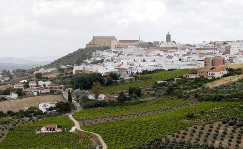 Loft Duplex Centro City