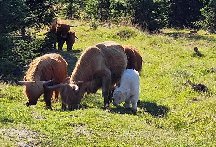 Vacation Home Tulikallio