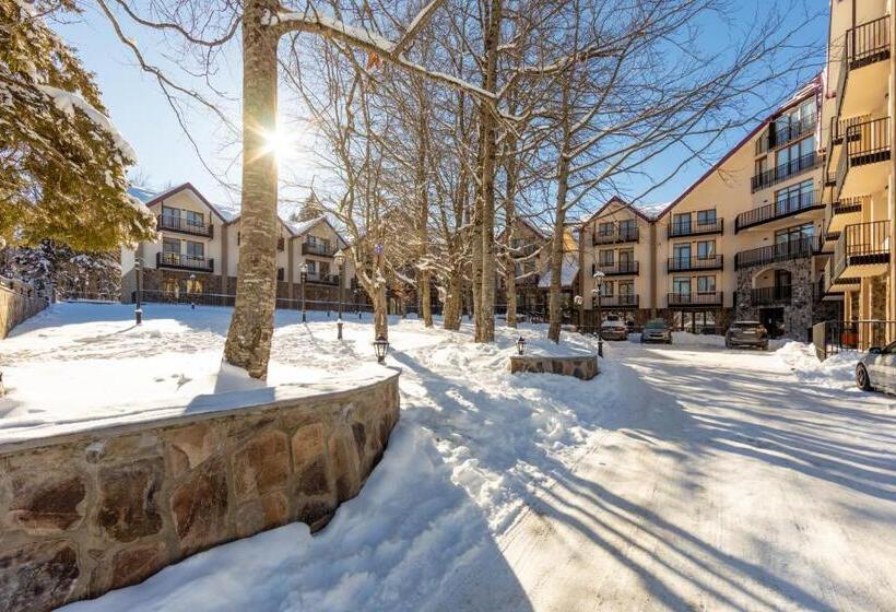 هتل Komorebi Bakuriani Resort