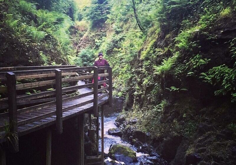 ベッドアンドブレックファースト Cullentra House