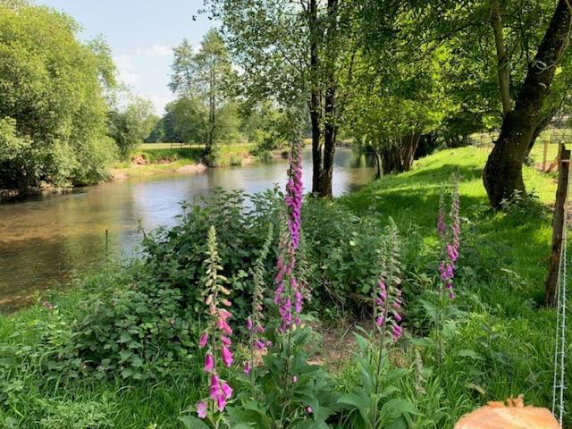 Hartnoll Hotel & Spa