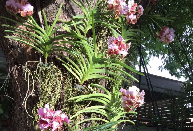 Отель 3b Boutique