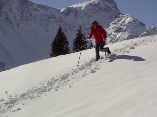 Bauernhof Foehrenhof