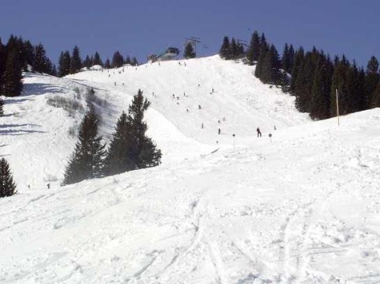 Bauernhof Foehrenhof