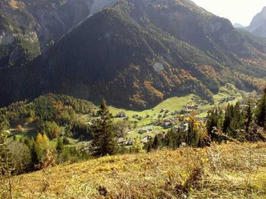 Bauernhof Foehrenhof