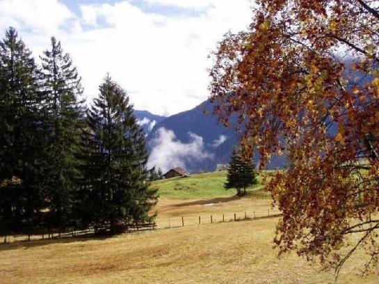 Bauernhof Foehrenhof