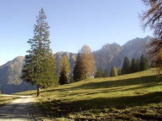 Bauernhof Foehrenhof