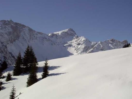 Bauernhof Foehrenhof