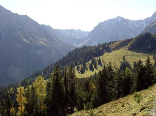 Bauernhof Foehrenhof