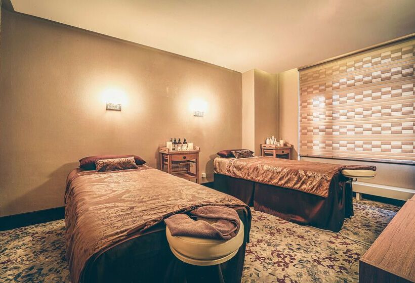 هتل Best Western Premier Tuushin