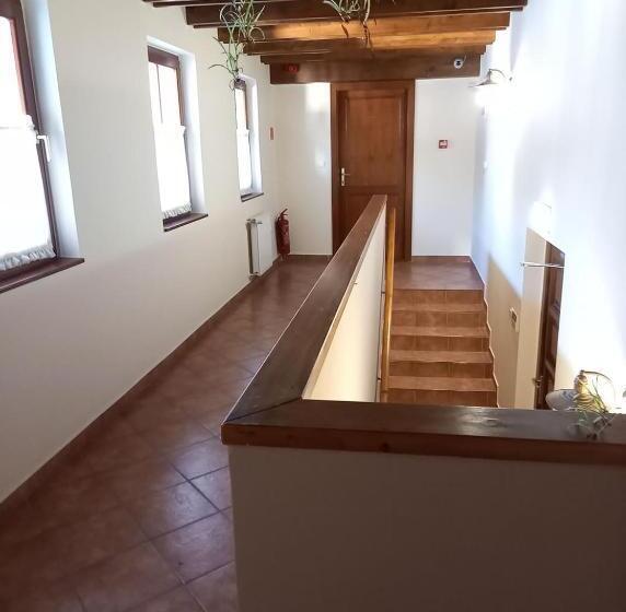 ホテル Blum Pince   Borozó Vendégház