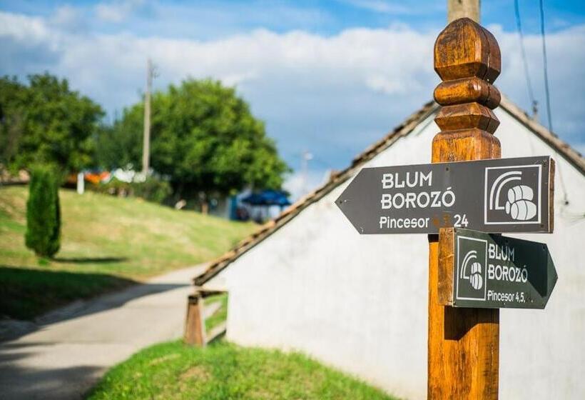 ホテル Blum Pince   Borozó Vendégház