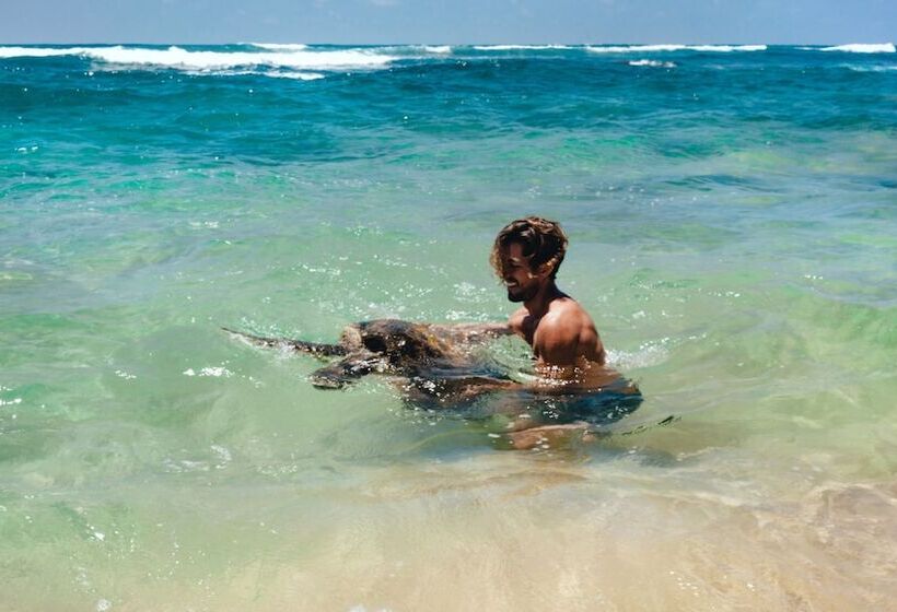 Отель Cantaloupe Aqua