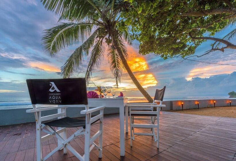 Отель Cantaloupe Aqua