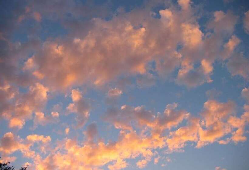 בית מלון כפרי Château De La Rue