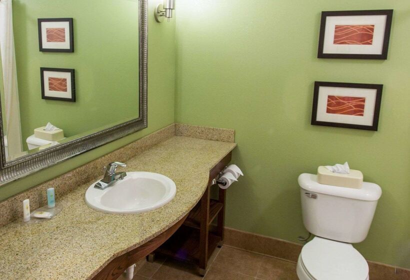 בית מלון כפרי Comfort Inn New Orleans Airport South