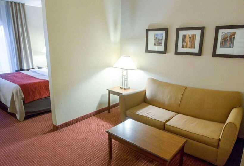 فندق Comfort Inn New Orleans Airport South