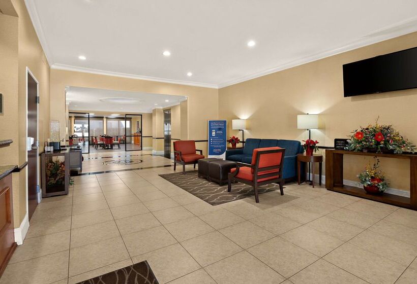 فندق Comfort Inn New Orleans Airport South