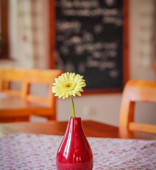 فندق Diófa Panzió