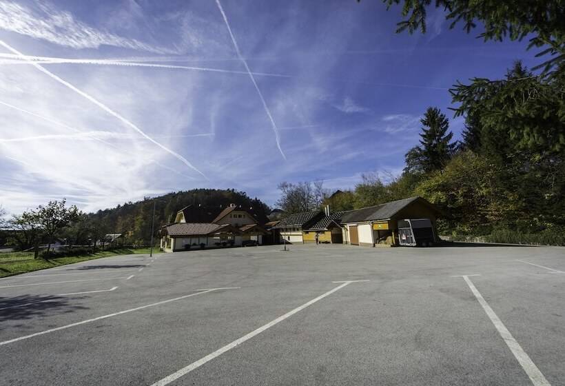 هتل Domačija Vodnik & Apartments