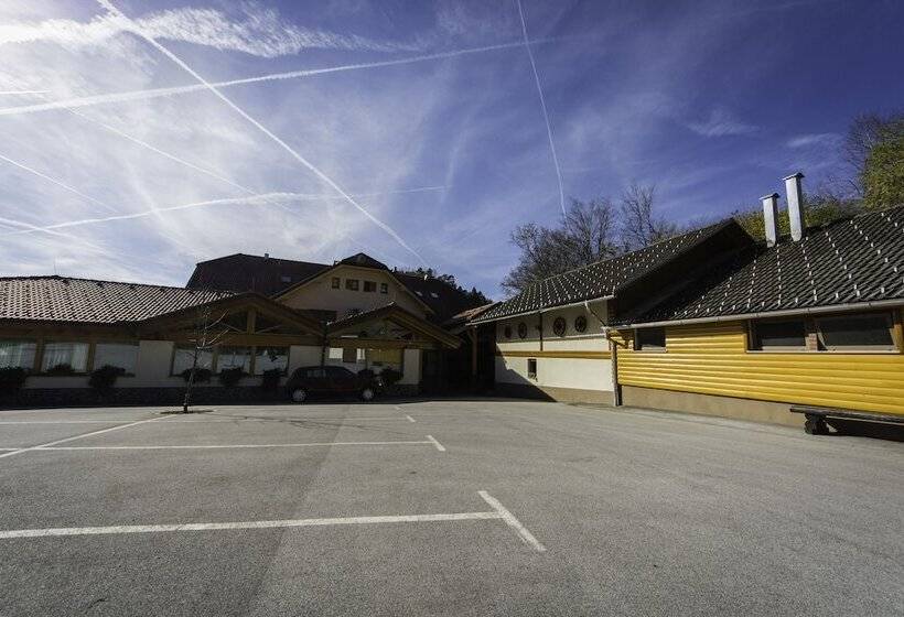 هتل Domačija Vodnik & Apartments