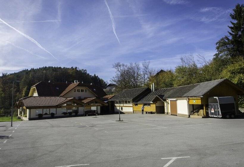 هتل Domačija Vodnik & Apartments