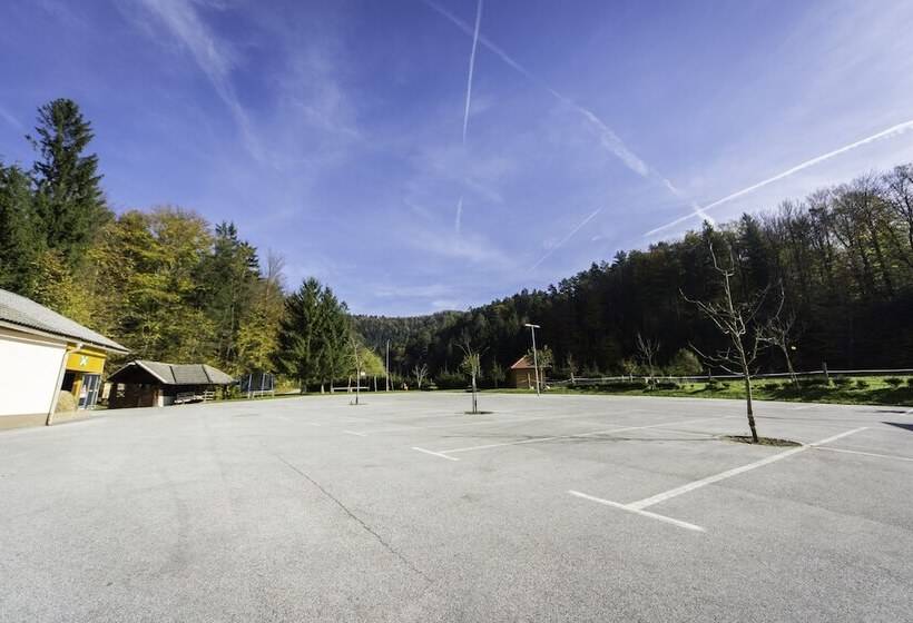 هتل Domačija Vodnik & Apartments