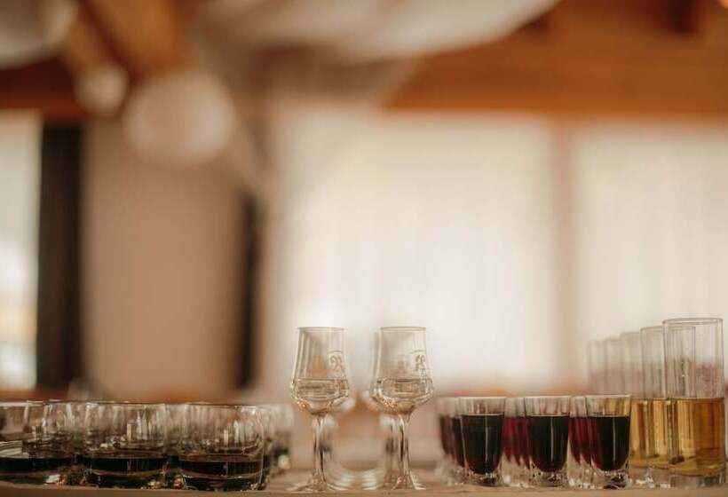 هتل Domačija Vodnik & Apartments