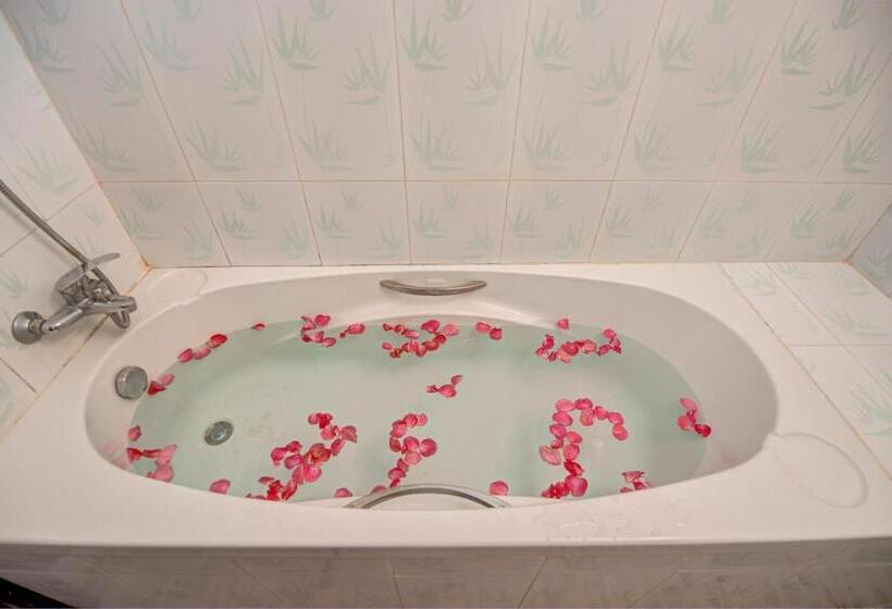 酒店 Dv Angkor Villa