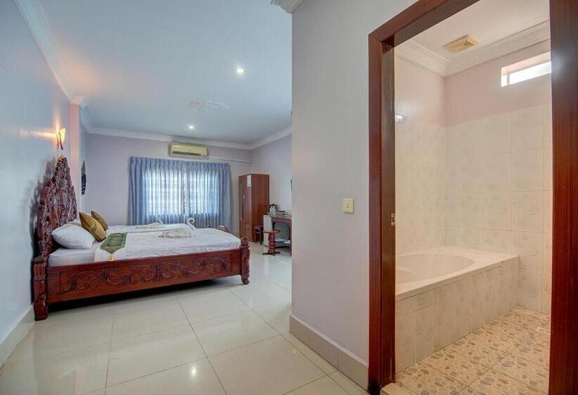 酒店 Dv Angkor Villa