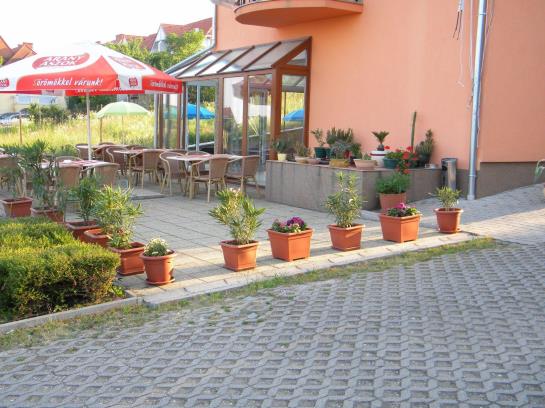 Отель Fonix Panzio