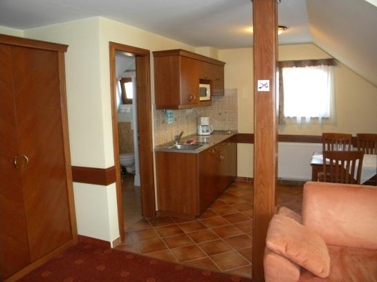 Отель Fonix Panzio