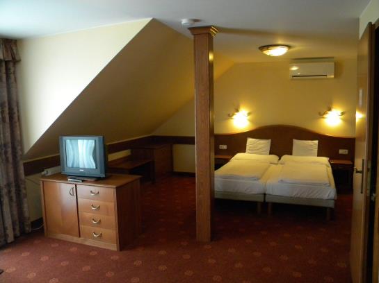 Отель Fonix Panzio