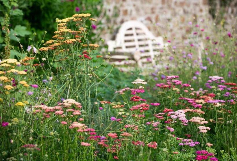 ホテル Grove Of Narberth