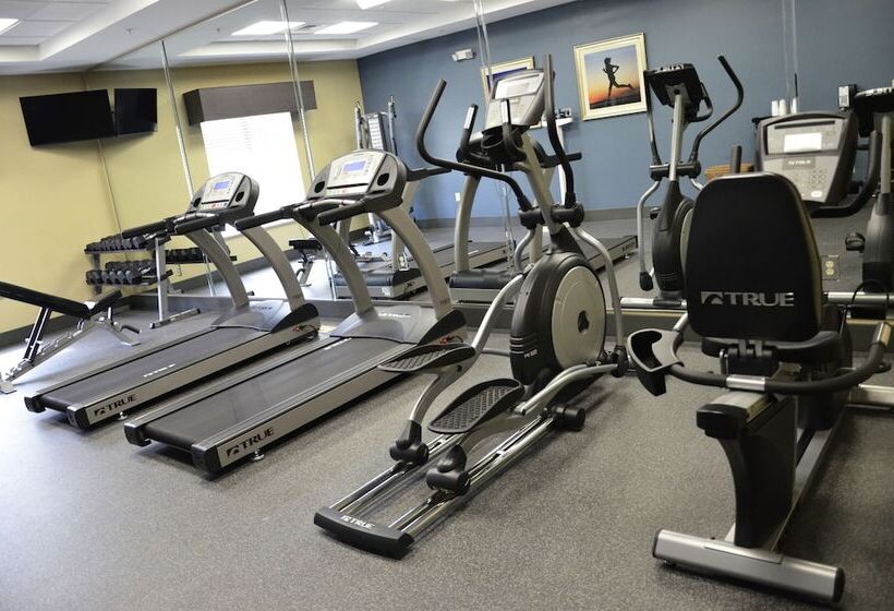 Holiday Inn Express Hotel & Suites Goldsboro   Base Area, An Ihg