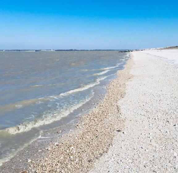 ホテル Hôtel Restaurant La Chaloupe