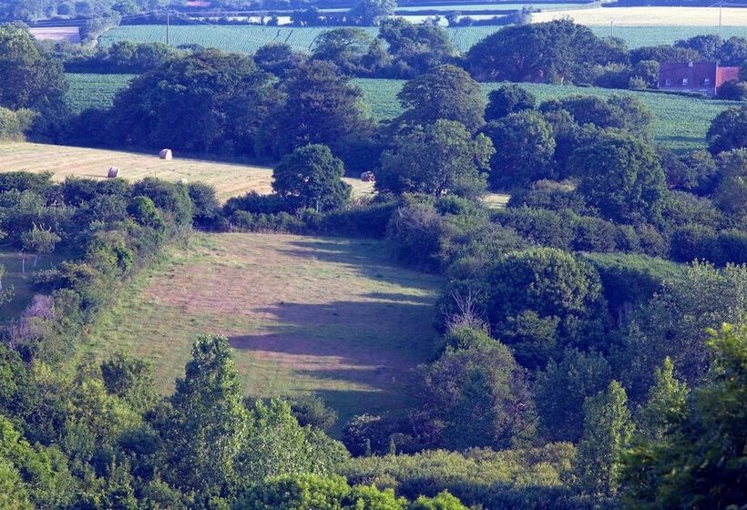 Отель Hôtel Traiteur Les Ormes, The Originals Relais