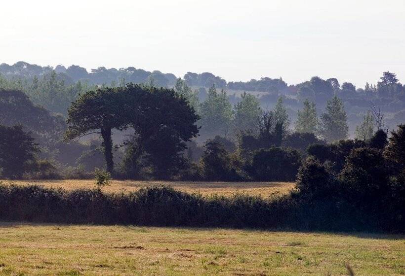 Отель Hôtel Traiteur Les Ormes, The Originals Relais
