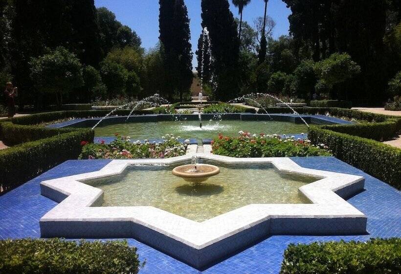 酒店 Hôtel Tijani