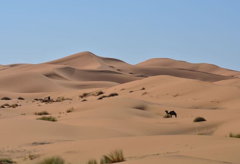 ホテル Kasbah Erg Chebbi