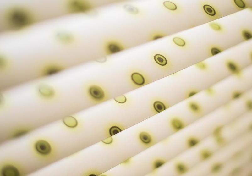 Отель La Goélette, Chambres D'hôtes