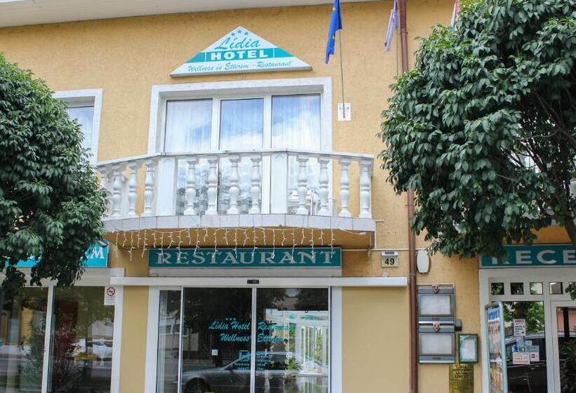 호텔 Lídia
