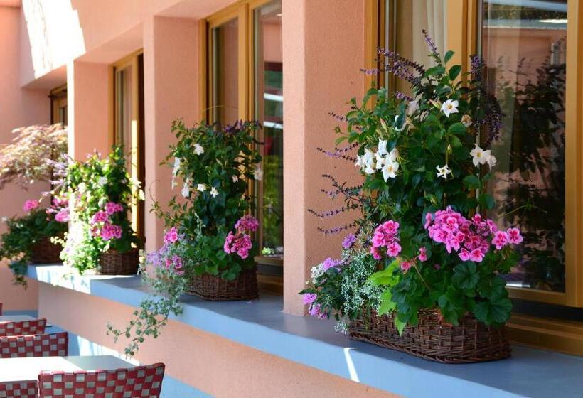 בית מלון כפרי Le Rhien Hôtel Restaurant