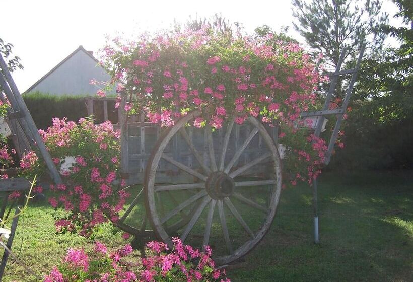 فندق Logis Hôtel Restaurant Le Vieux Fusil